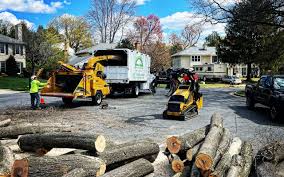 Best Tree Fertilization  in Moscow, ID