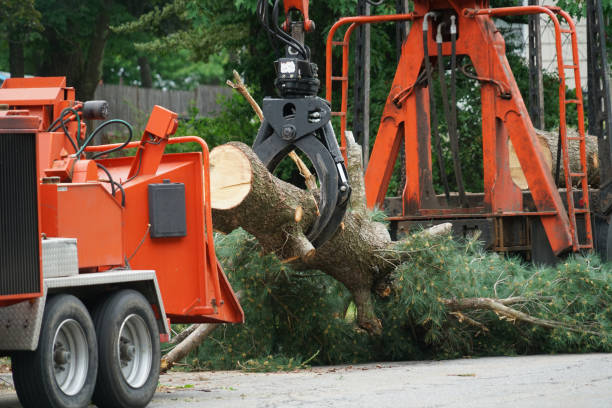 Best Lawn Drainage Solutions  in Moscow, ID