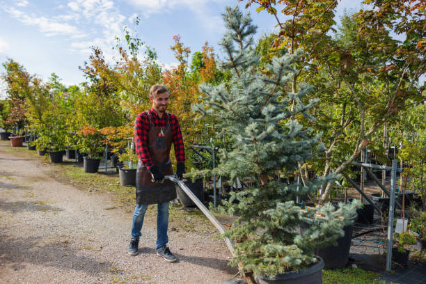 Best Landscape Design and Installation  in Moscow, ID